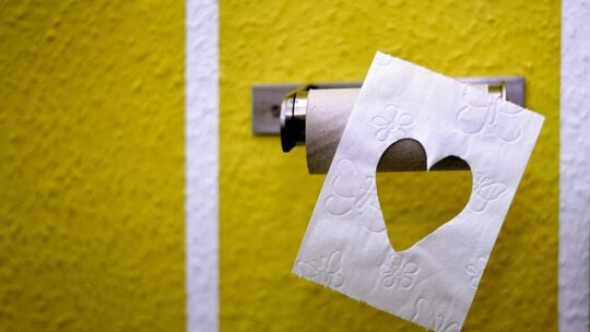 Toiletpapirholdere i fokus: De bedste valg for pladsbesparende badeværelser