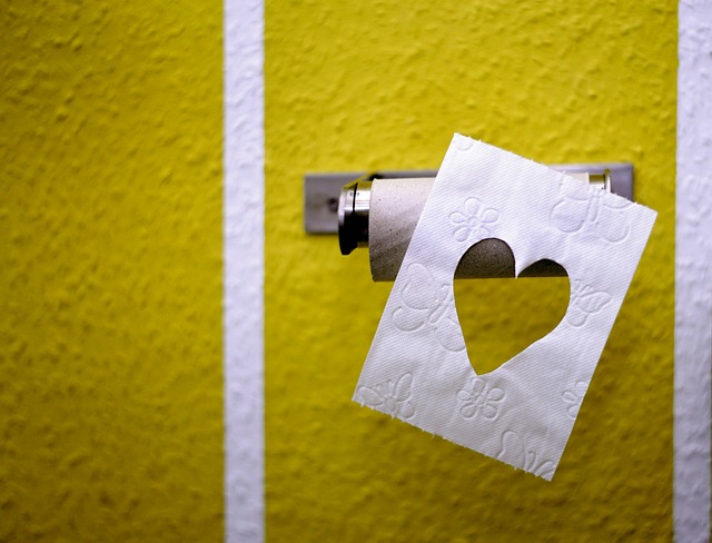 Toiletpapirholdere i fokus: De bedste valg for pladsbesparende badeværelser